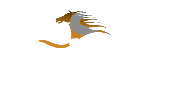 Wasel General Trading