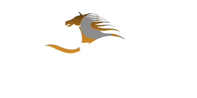 Wasel Auto Repairing