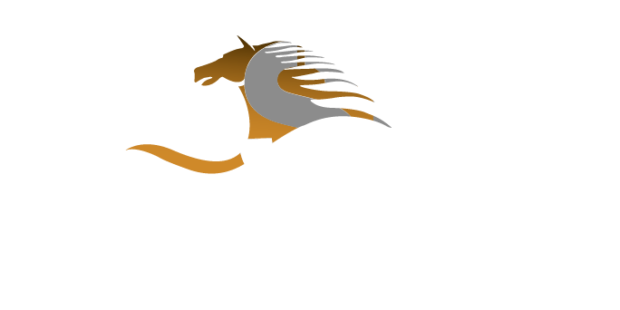 Wasel Vehicles Testing