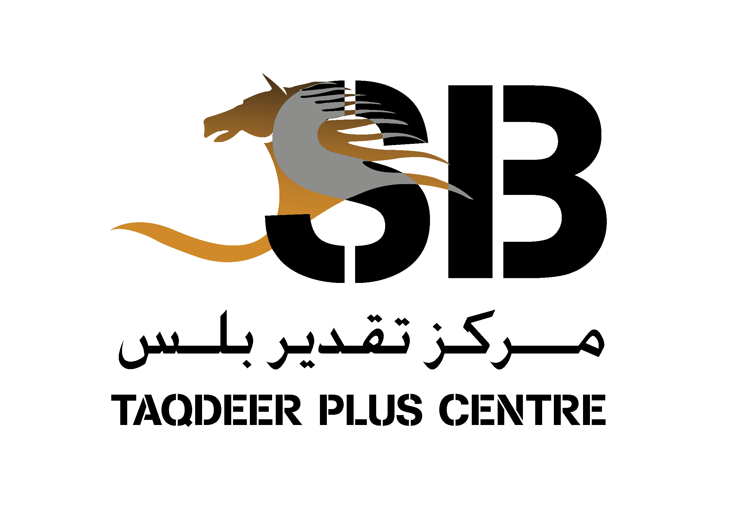 Taqdeer Plus Center